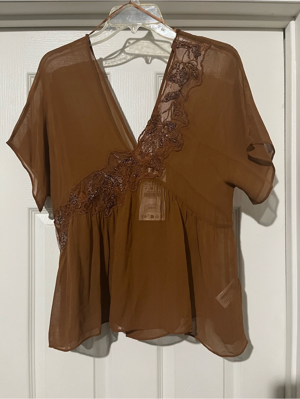Zara Brown Sheer V-Neck Blouse with Embroidered Detail